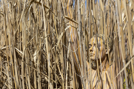 NATURE ART: Schilf / Reeds Bodypainting