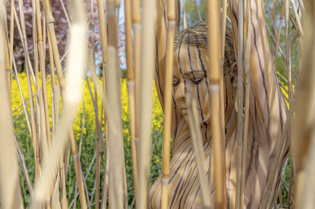 NATURE ART: Schilf / Reeds Bodypainting
