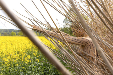 NATURE ART: Schilf / Reeds Bodypainting