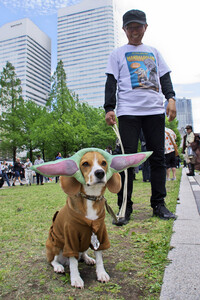 Star Wars Day in Yokohama