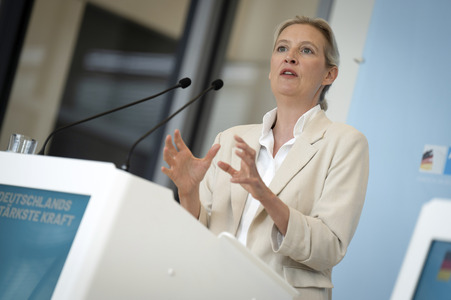 Fraktionssitzung der AfD-Bundestagsfraktion in Berlin