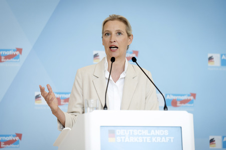 Fraktionssitzung der AfD-Bundestagsfraktion in Berlin