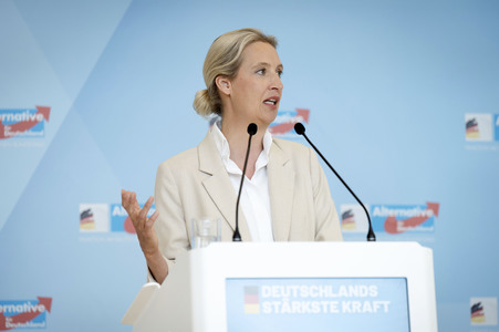 Fraktionssitzung der AfD-Bundestagsfraktion in Berlin