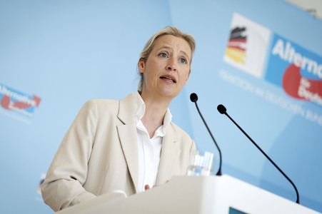 Fraktionssitzung der AfD-Bundestagsfraktion in Berlin
