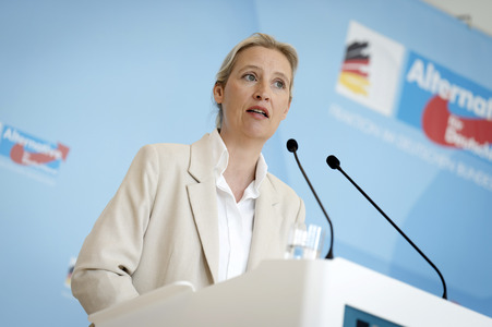 Fraktionssitzung der AfD-Bundestagsfraktion in Berlin