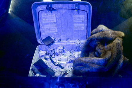 Premiere 'Serienkiller - Die True Crime Ausstellung' in Köln