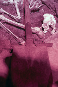 Premiere 'Serienkiller - Die True Crime Ausstellung' in Köln