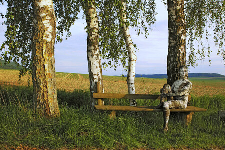 NATURE ART: Birke / Birch Bodypainting