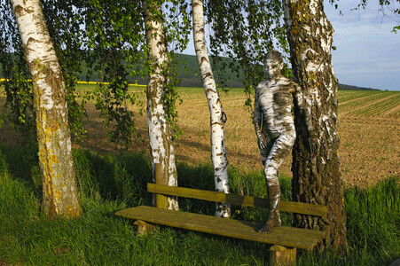 NATURE ART: Birke / Birch Bodypainting