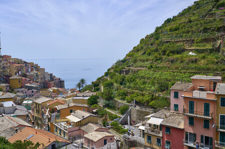 Sightseeing Manarola