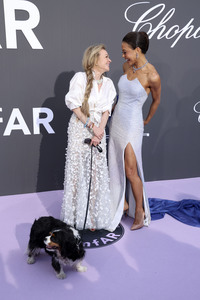 amfAR's Cinema Against Aids Gala, Cannes Film Festival 2026