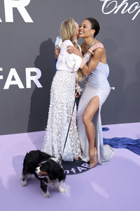 amfAR's Cinema Against Aids Gala, Cannes Film Festival 2026