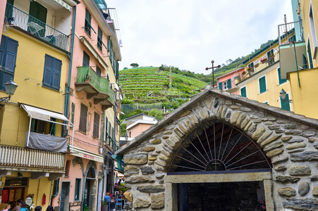 Sightseeing Vernazza