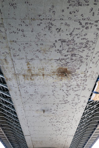 Gesperrte Friedrich-Ebert-Brücke/Nordbrücke in Bonn