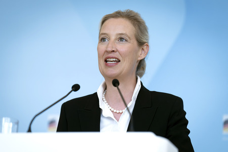 Fraktionssitzung der AfD-Bundestagsfraktion in Berlin