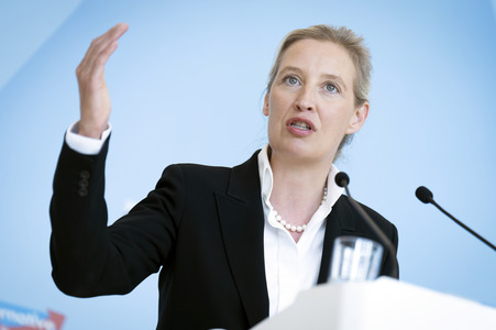 Fraktionssitzung der AfD-Bundestagsfraktion in Berlin