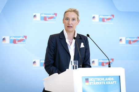 Fraktionssitzung der AfD-Bundestagsfraktion in Berlin