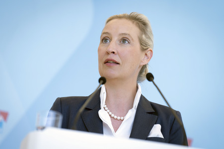 Fraktionssitzung der AfD-Bundestagsfraktion in Berlin