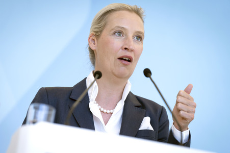 Fraktionssitzung der AfD-Bundestagsfraktion in Berlin