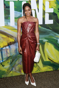 Serpentine Gallery Summer Party 2026