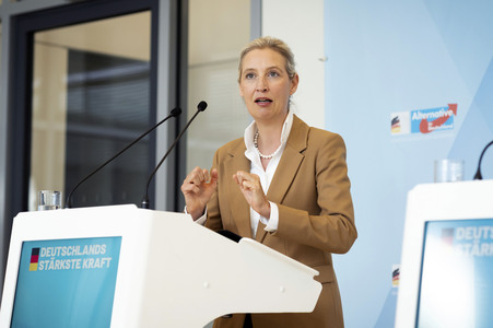 Fraktionssitzung der AfD-Bundestagsfraktion in Berlin