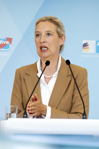 Fraktionssitzung der AfD-Bundestagsfraktion in Berlin