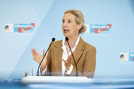 Fraktionssitzung der AfD-Bundestagsfraktion in Berlin
