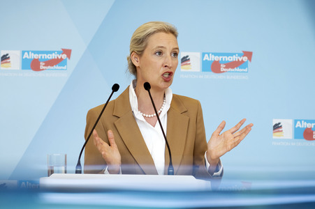 Fraktionssitzung der AfD-Bundestagsfraktion in Berlin