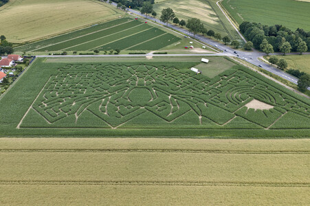 Maislabyrinth in Nettelrede