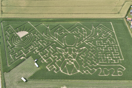Maislabyrinth in Nettelrede