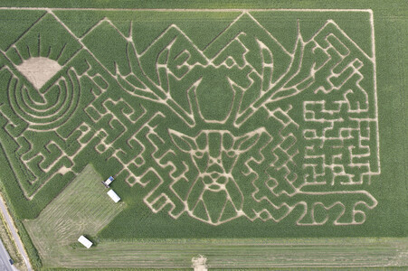 Maislabyrinth in Nettelrede