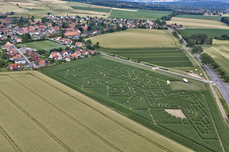 Maislabyrinth in Nettelrede