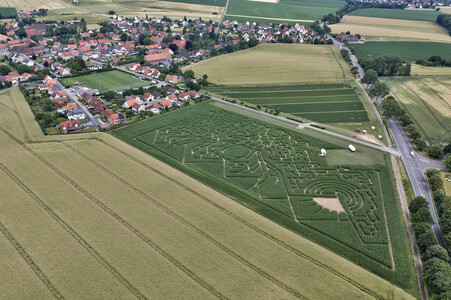 Maislabyrinth in Nettelrede