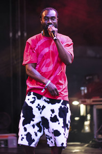 WOMAD - The World's Festival in Neston