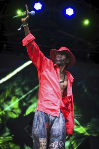 WOMAD - The World's Festival in Neston