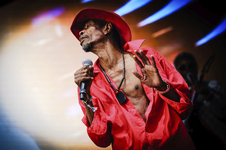 WOMAD - The World's Festival in Neston