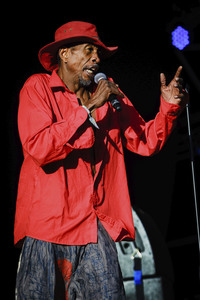 WOMAD - The World's Festival in Neston