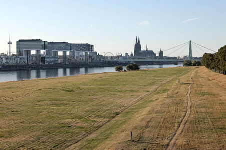 Historisches Niedrigwasser im Rhein in Köln