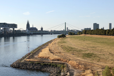 Historisches Niedrigwasser im Rhein in Köln