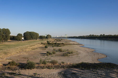 Historisches Niedrigwasser im Rhein in Köln