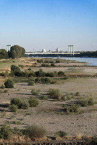 Historisches Niedrigwasser im Rhein in Köln