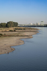 Historisches Niedrigwasser im Rhein in Köln