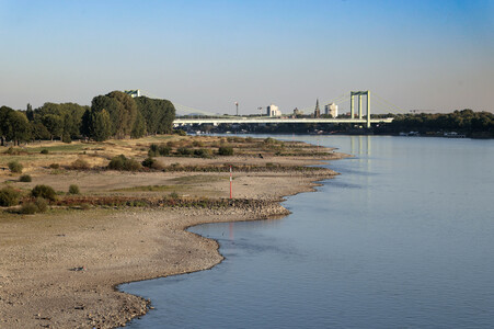 Historisches Niedrigwasser im Rhein in Köln