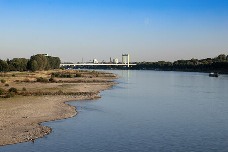 Historisches Niedrigwasser im Rhein in Köln