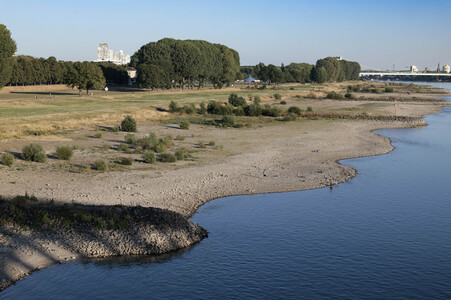 Historisches Niedrigwasser im Rhein in Köln