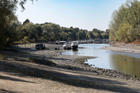 Historisches Niedrigwasser im Rhein bei Bornheim