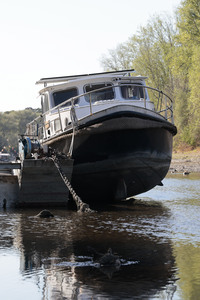 Historisches Niedrigwasser im Rhein bei Bornheim