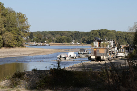Historisches Niedrigwasser im Rhein bei Bornheim