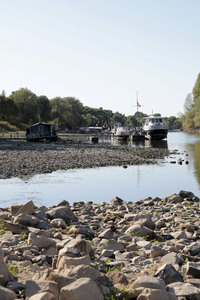 Historisches Niedrigwasser im Rhein bei Bornheim