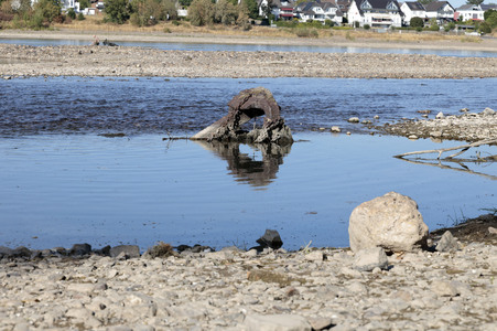 Historisches Niedrigwasser im Rhein bei Bornheim